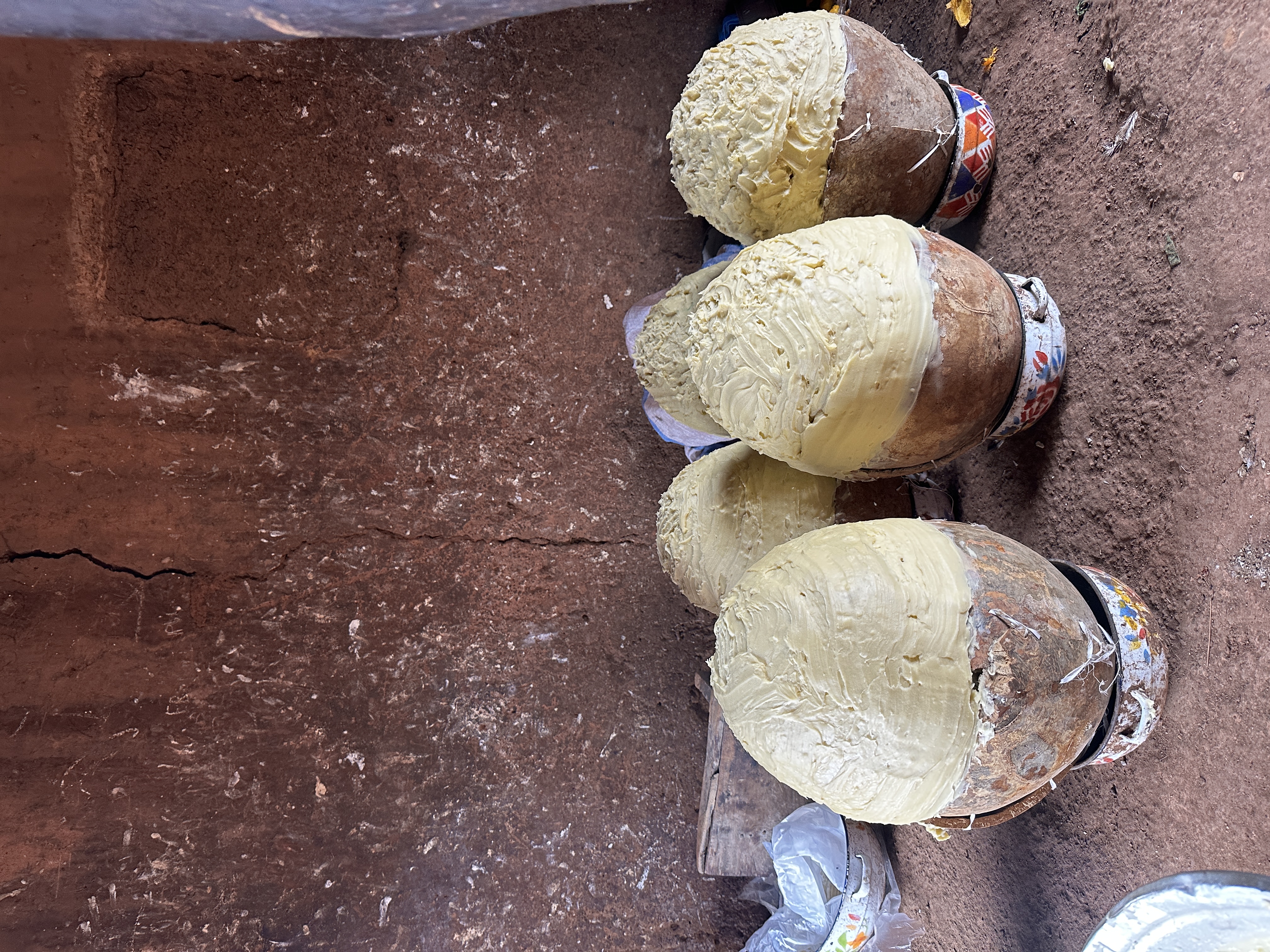 Finished shea butter in calabash bowls arranged on the ground, Tamale, Northern Ghana